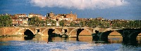 TOILE IMPRIMÉE TOULOUSE PONT NEUF 40X120 CM